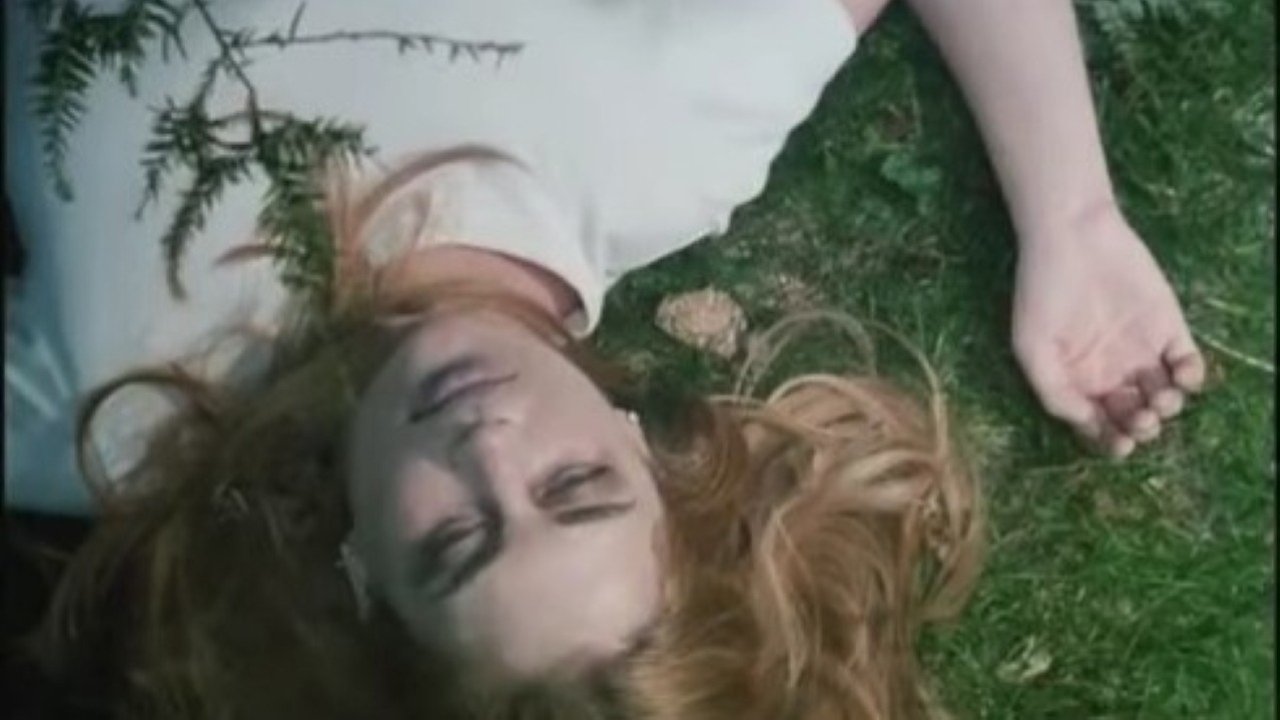 Backdrop for Strawberry Spring