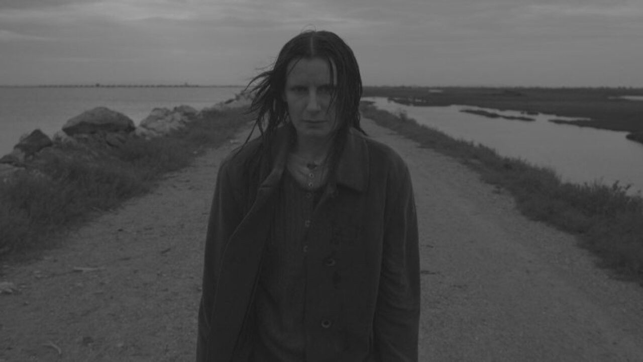 Backdrop for Common Ground