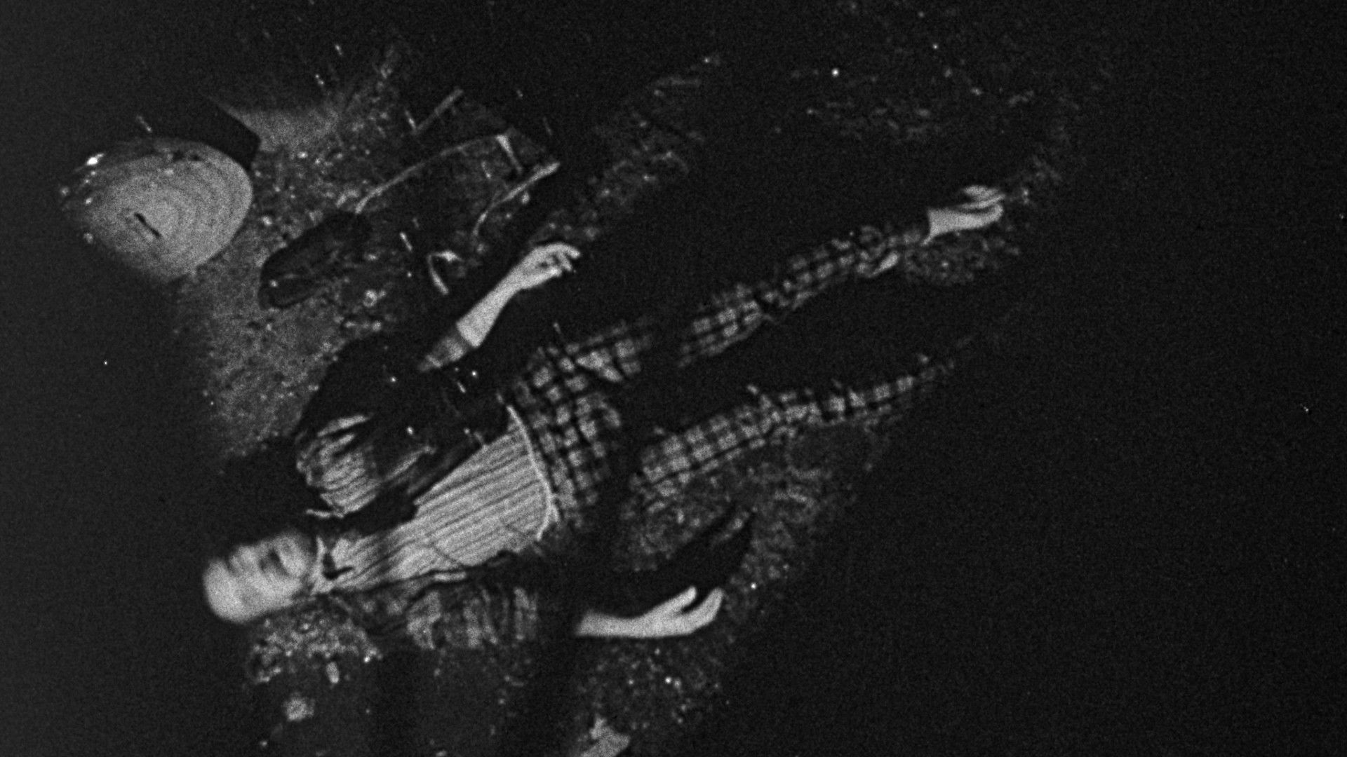 Backdrop for Bugs Without Morals