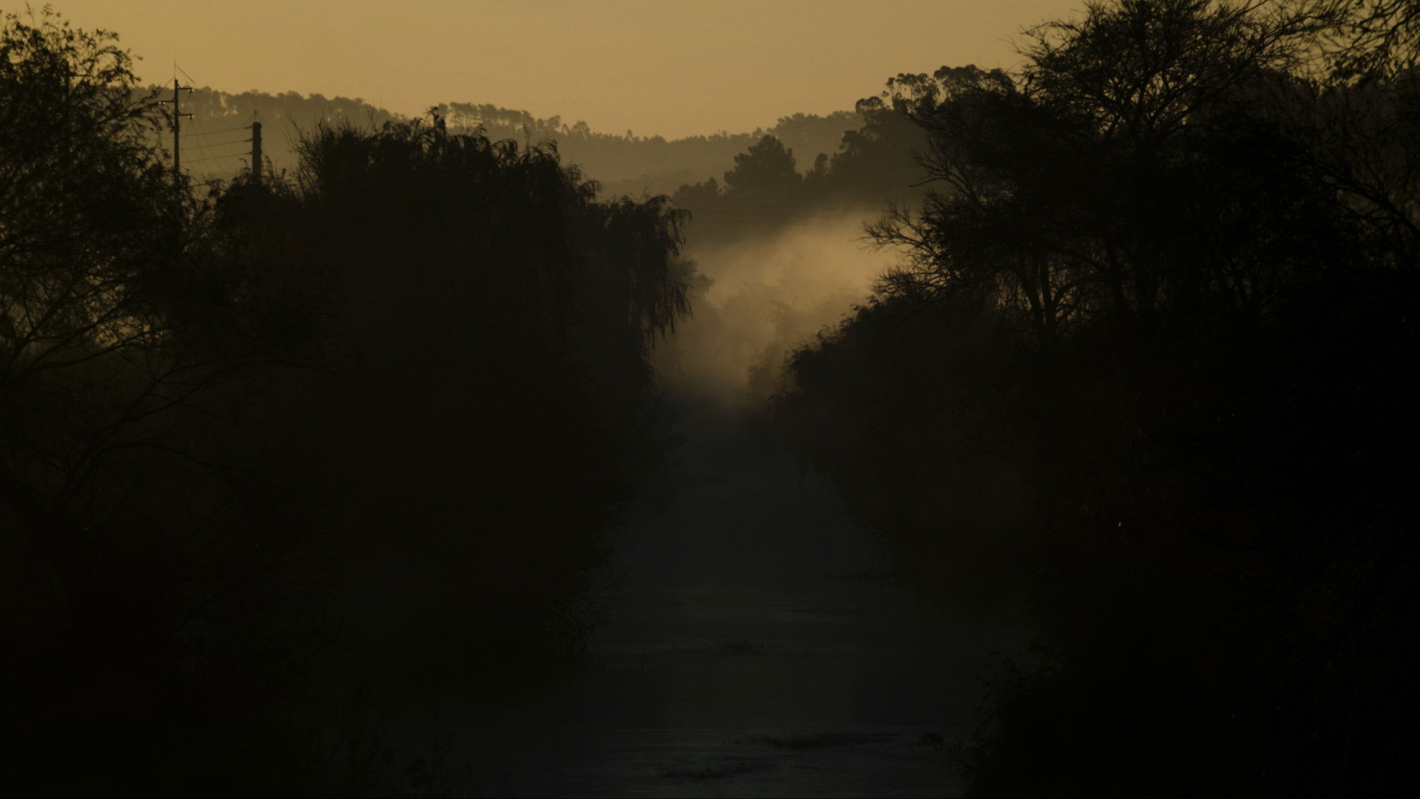 Backdrop for Beyond the Water's Edge