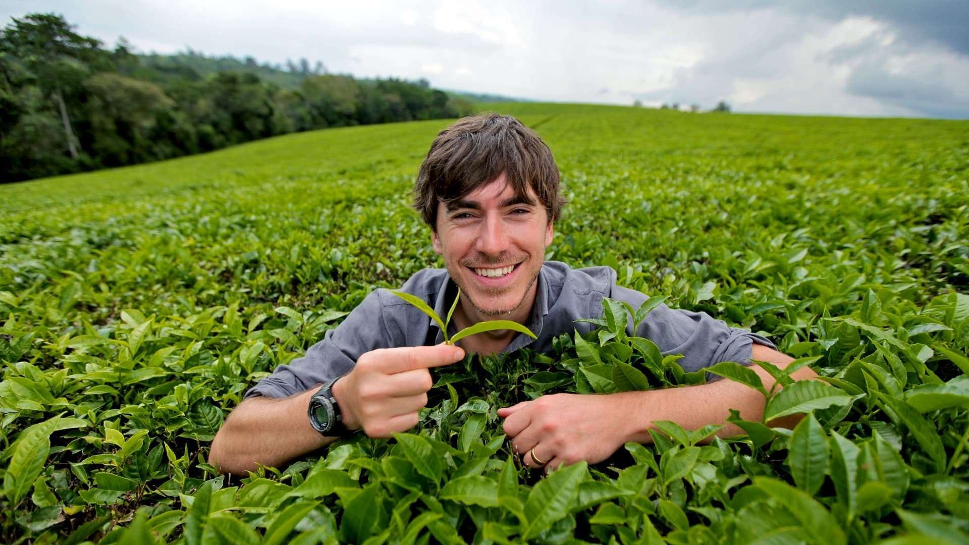 Backdrop for The Tea Trail with Simon Reeve
