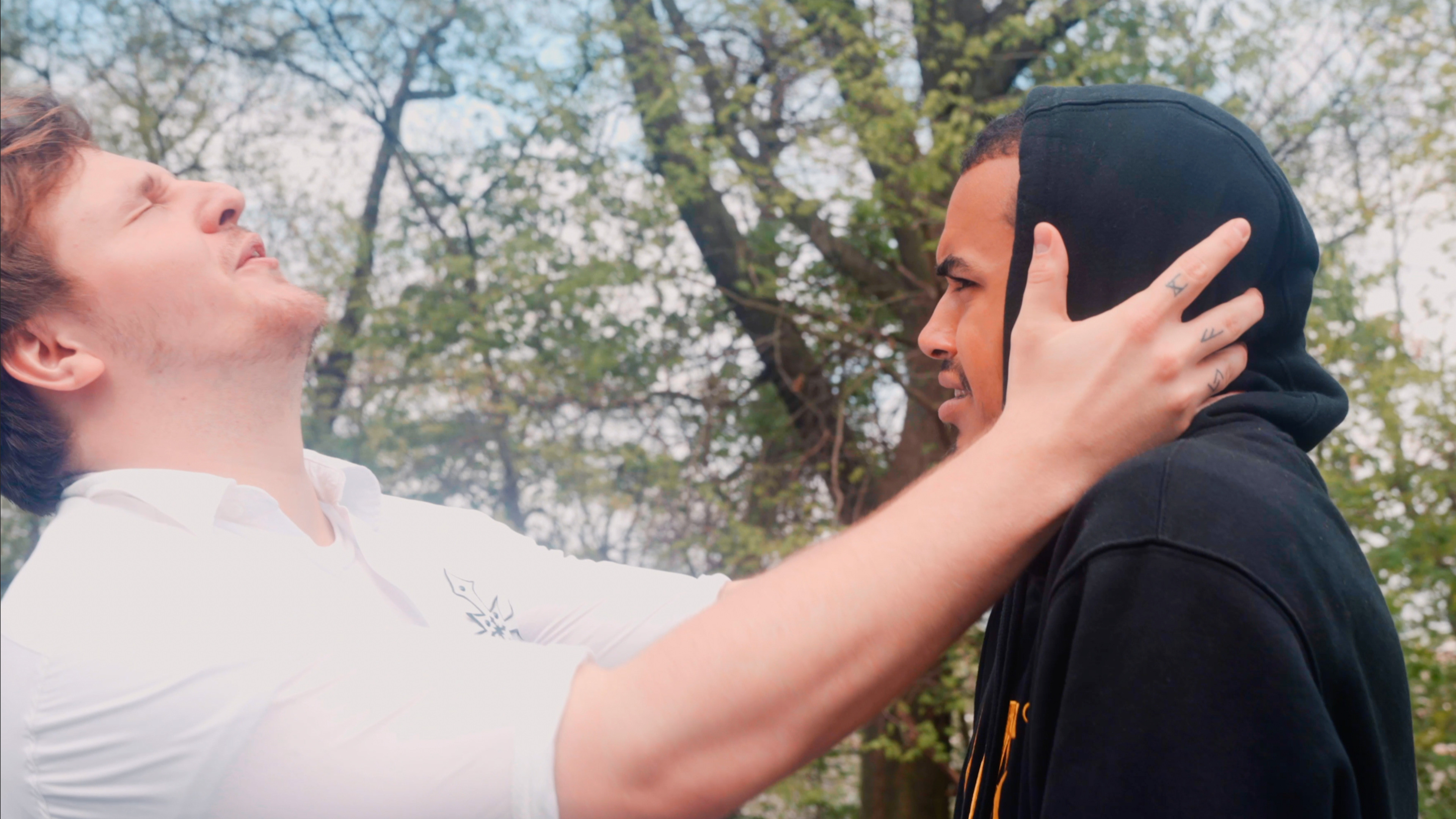 Backdrop for Kitty Litter