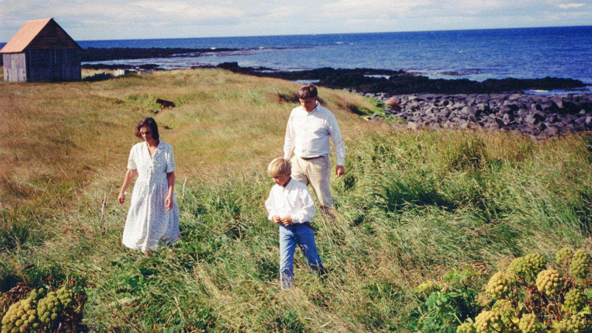 Backdrop for The Sky Palace