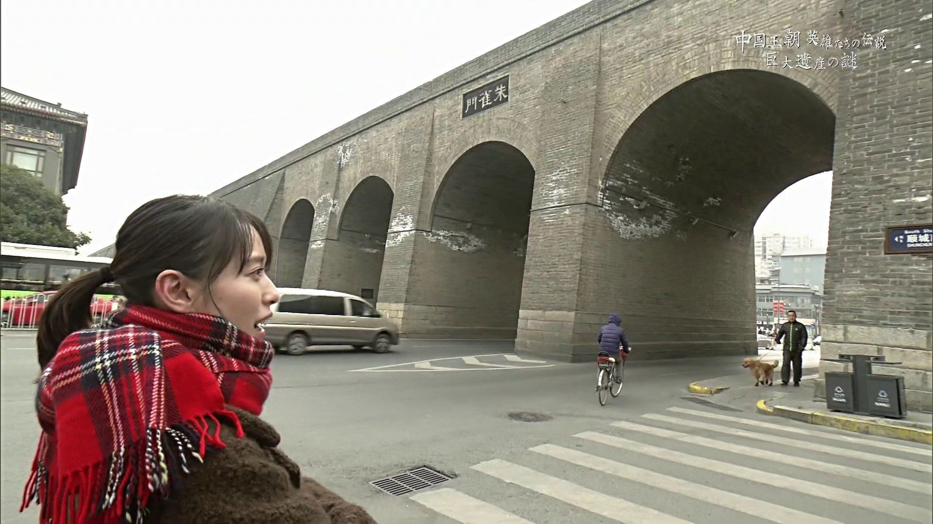 Backdrop for 中国王朝 英雄たちの伝説 巨大遺産の謎