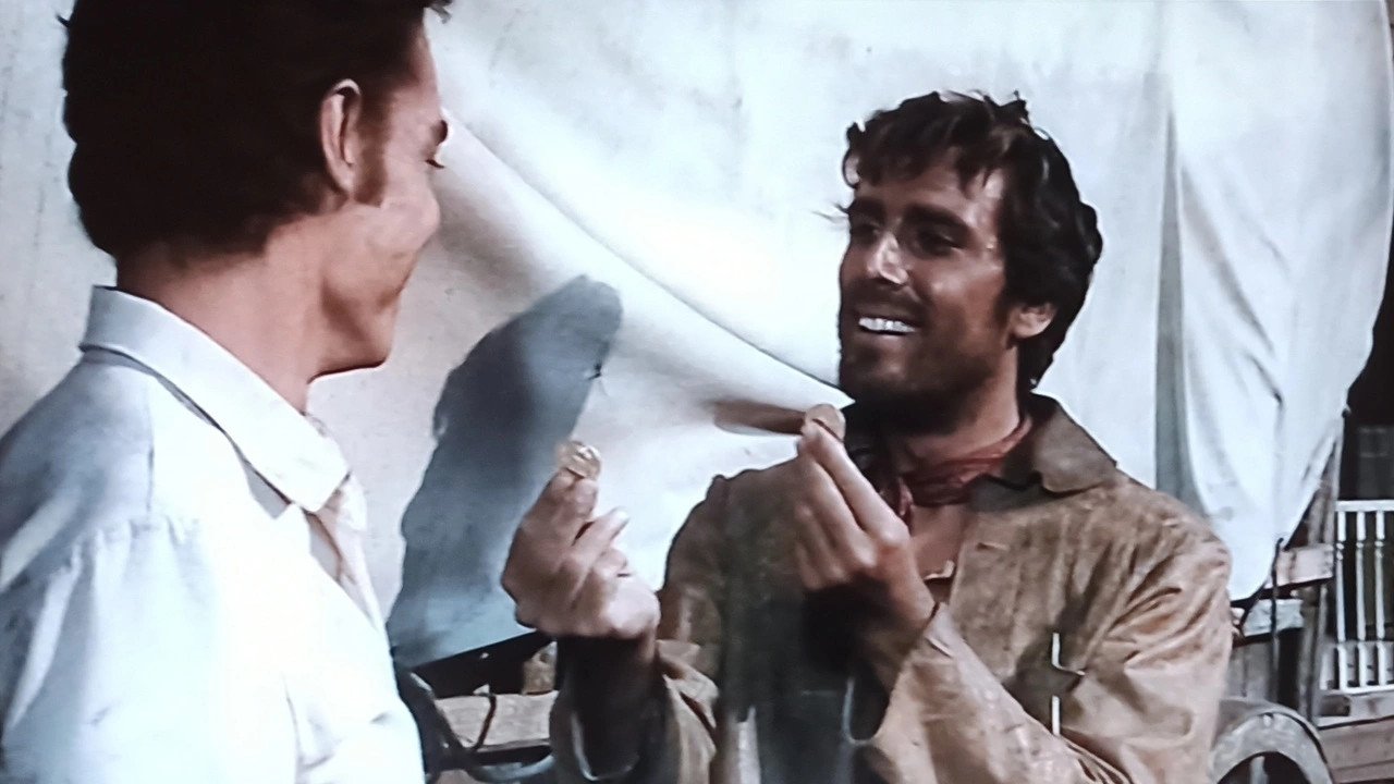 Backdrop for Halleluja for Django