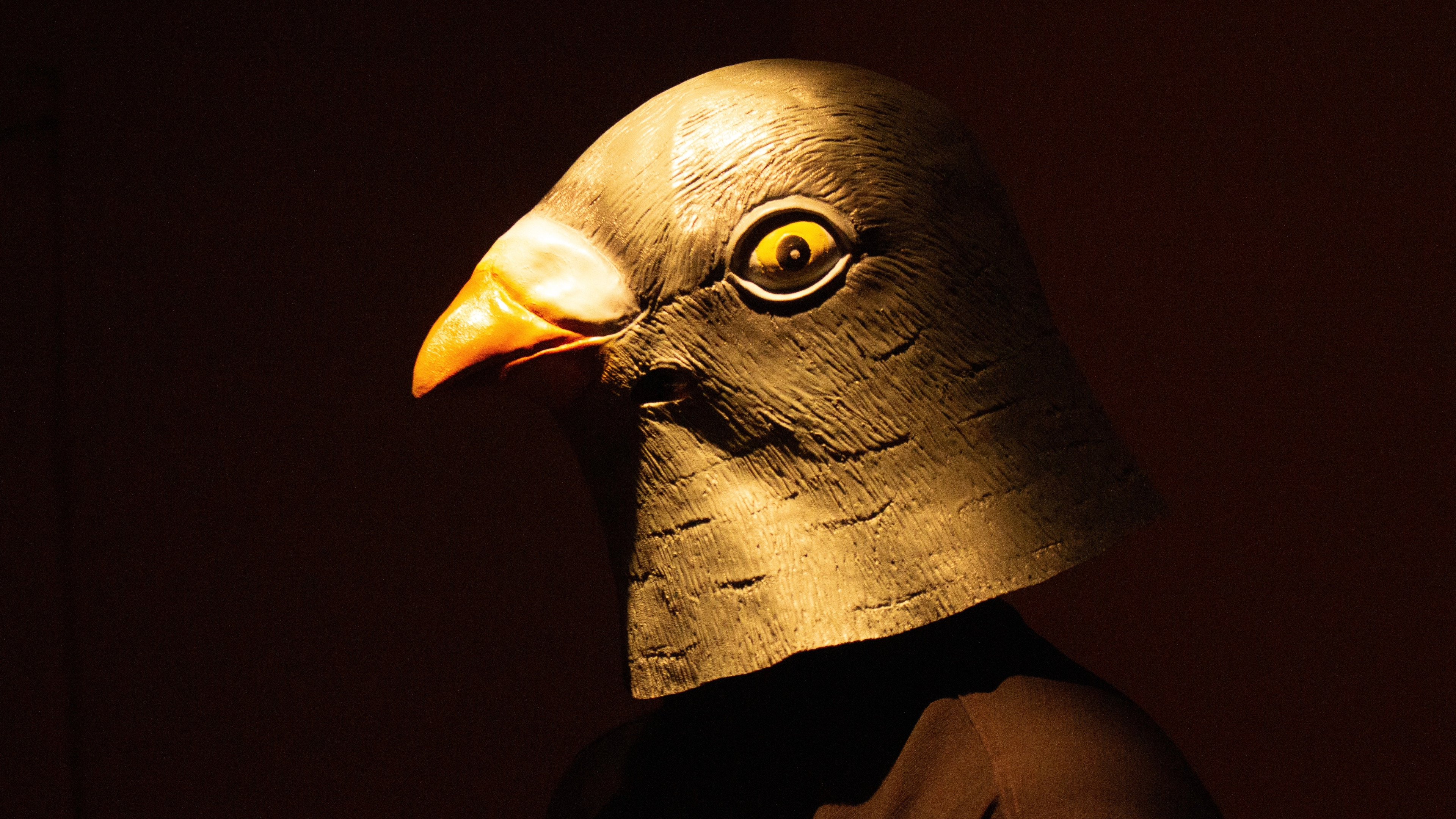 Backdrop for Vendedor de Sonhos