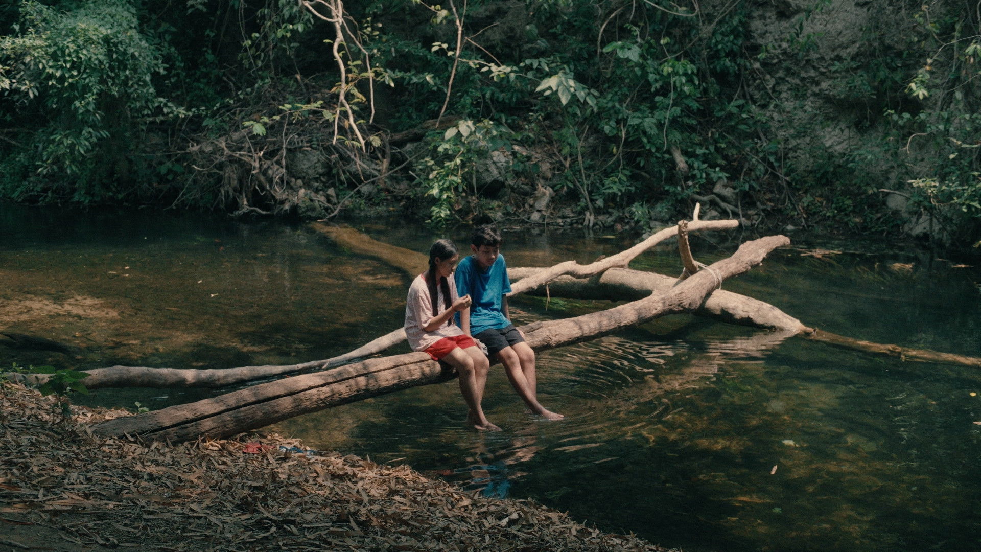 Backdrop for Hemimeta