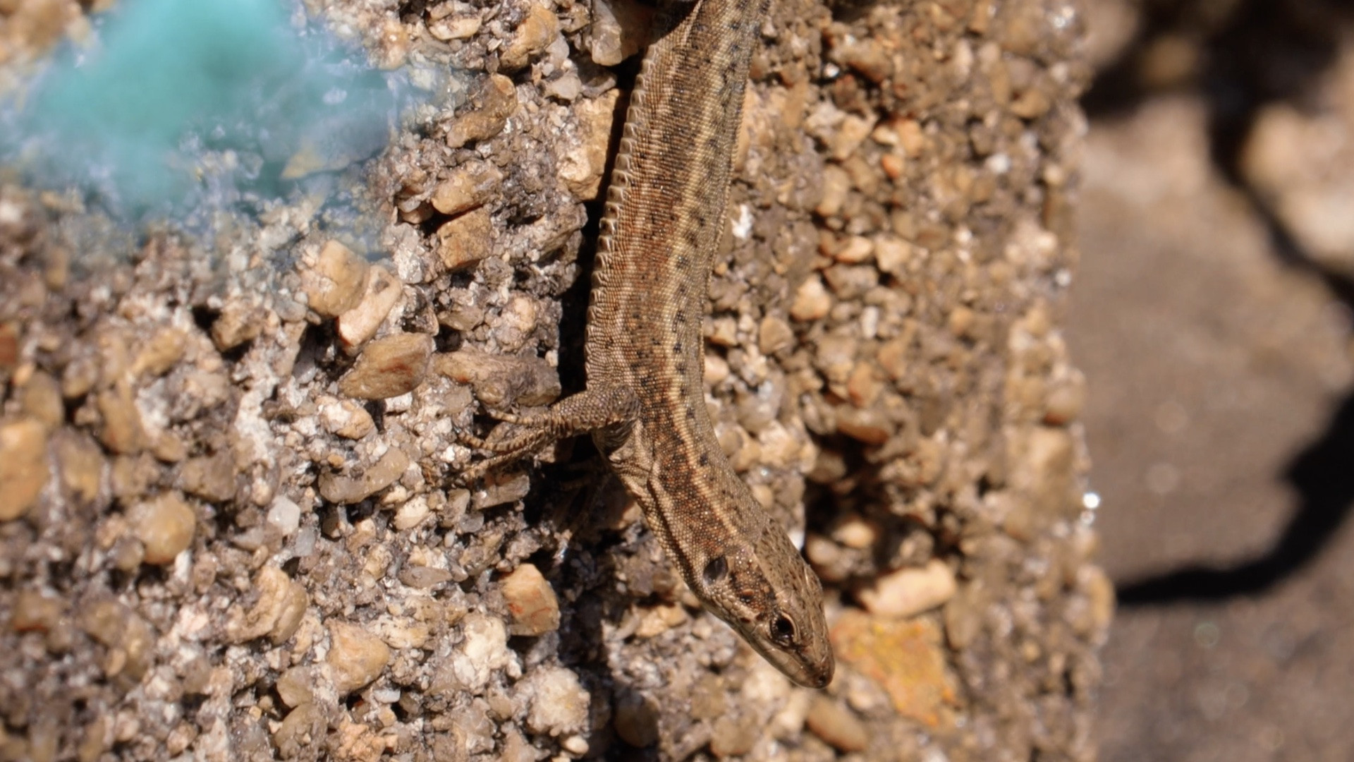 Backdrop for An Island in the Middle of the Sea