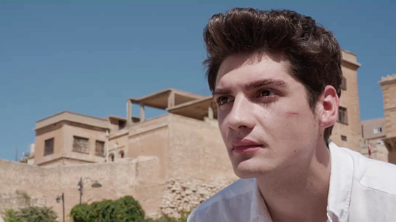 Backdrop for Poligala