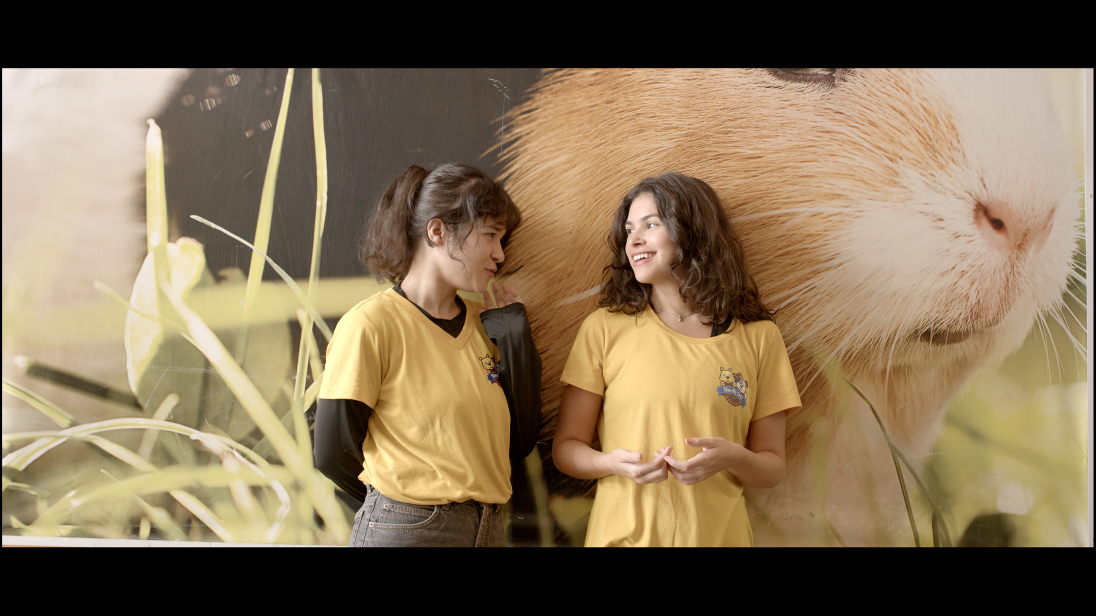 Backdrop for Chrysalis