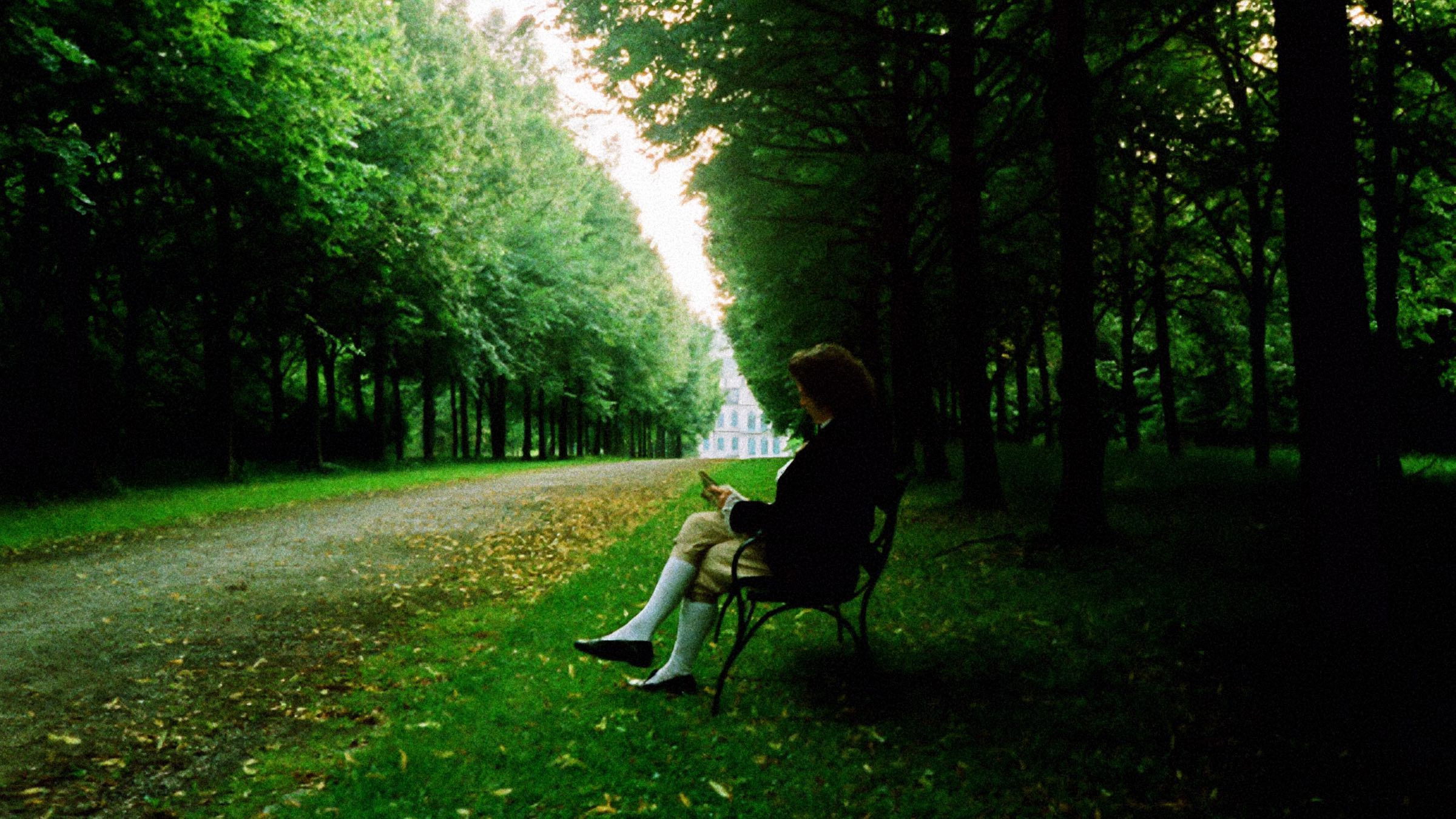 Backdrop for The Three Little Pigs