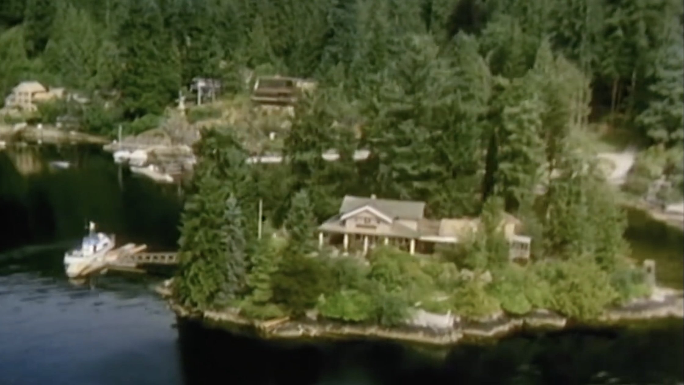 Backdrop for Danger Bay