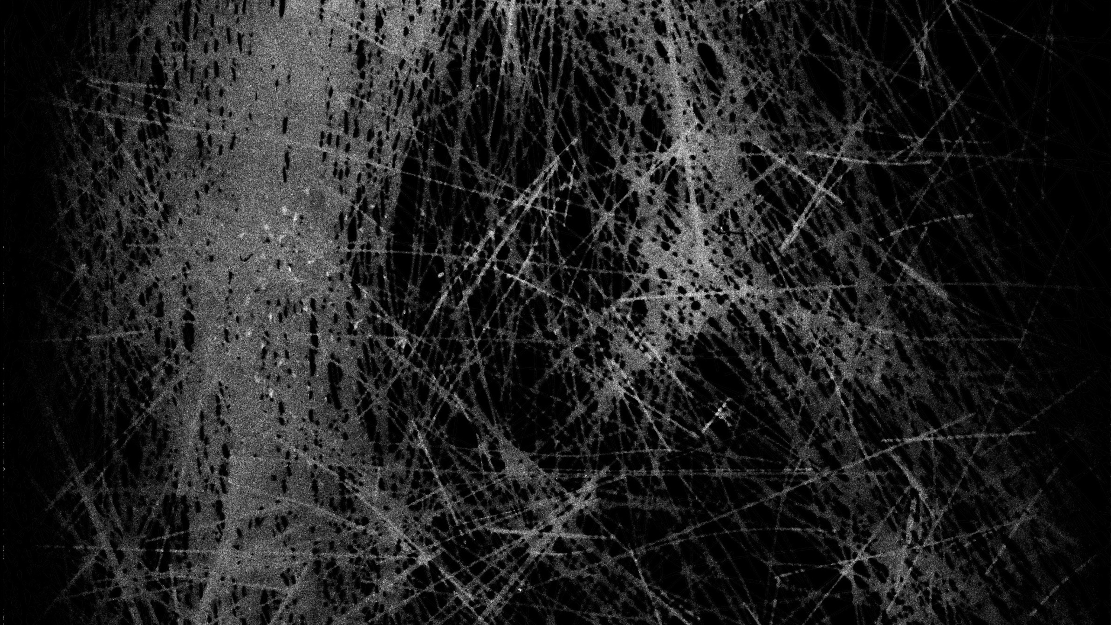 Backdrop for A Hair Short