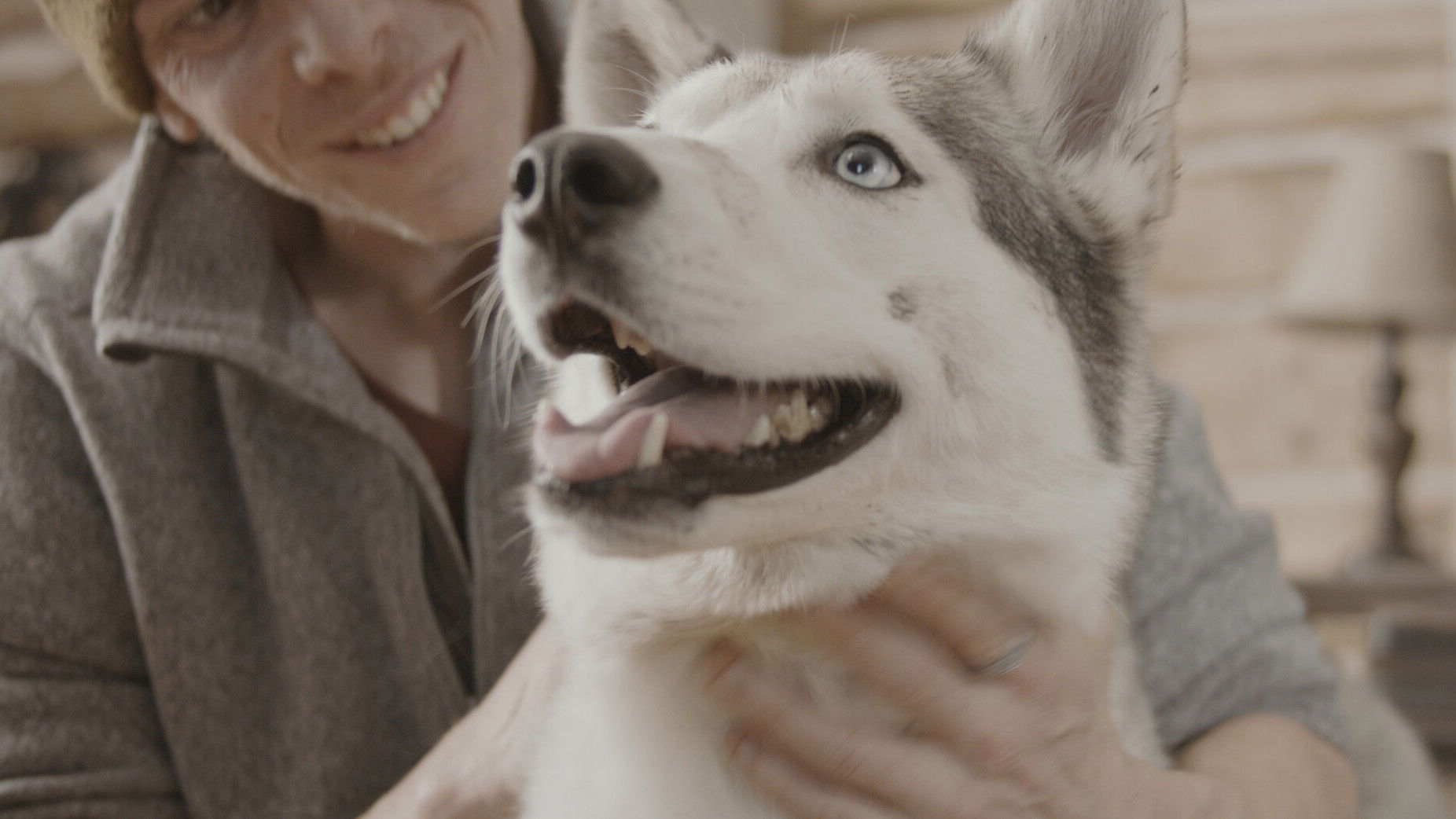 Backdrop for The Year of the Dog