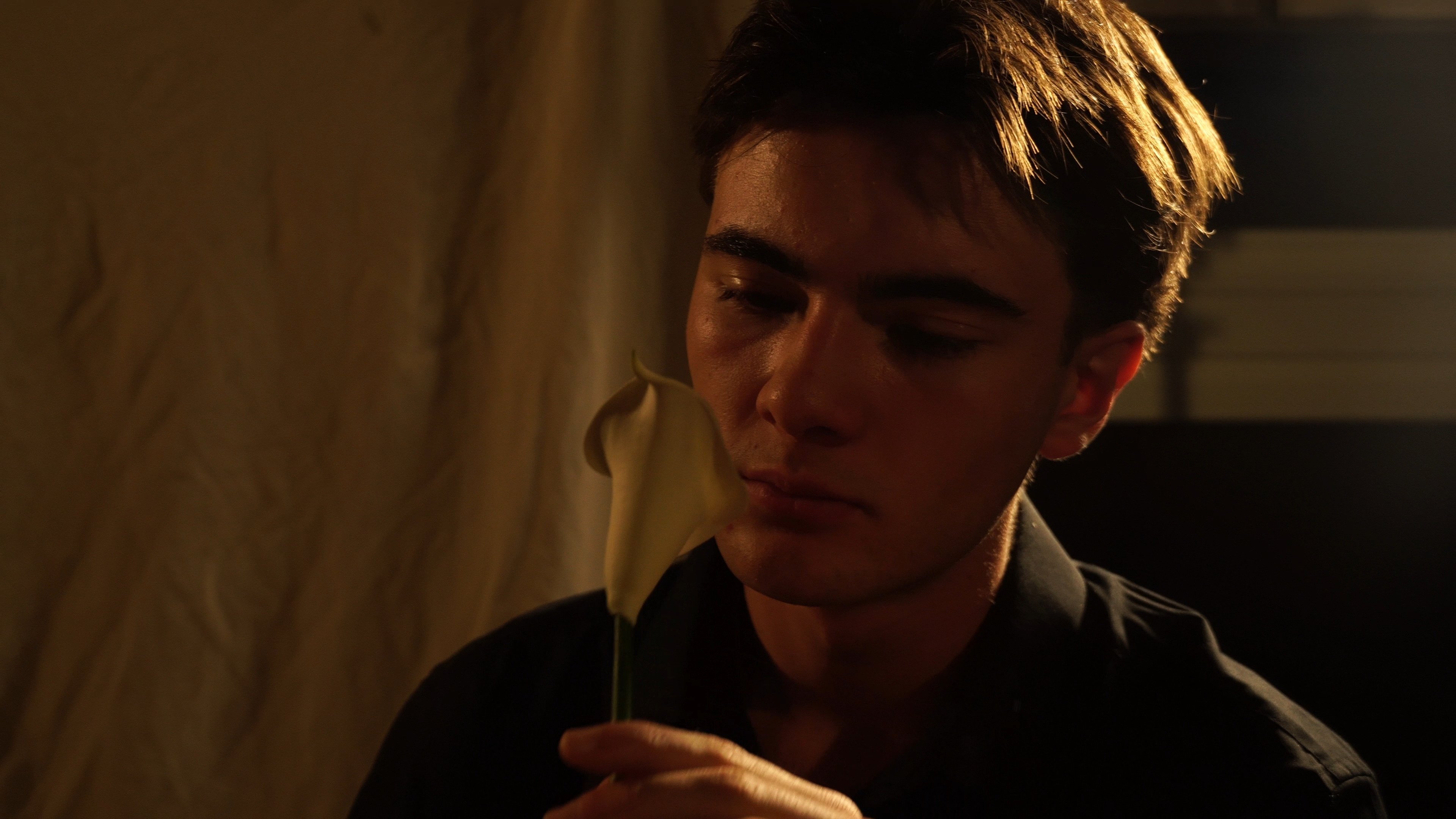 Backdrop for Narciso