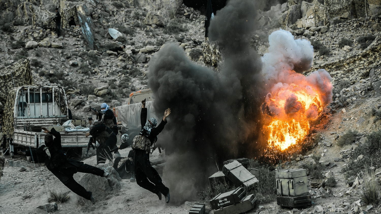 Backdrop for Wolves Action