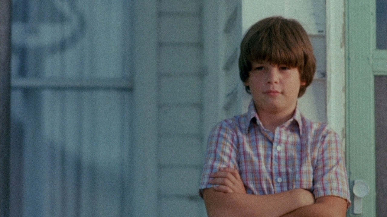 Backdrop for The Stone Boy