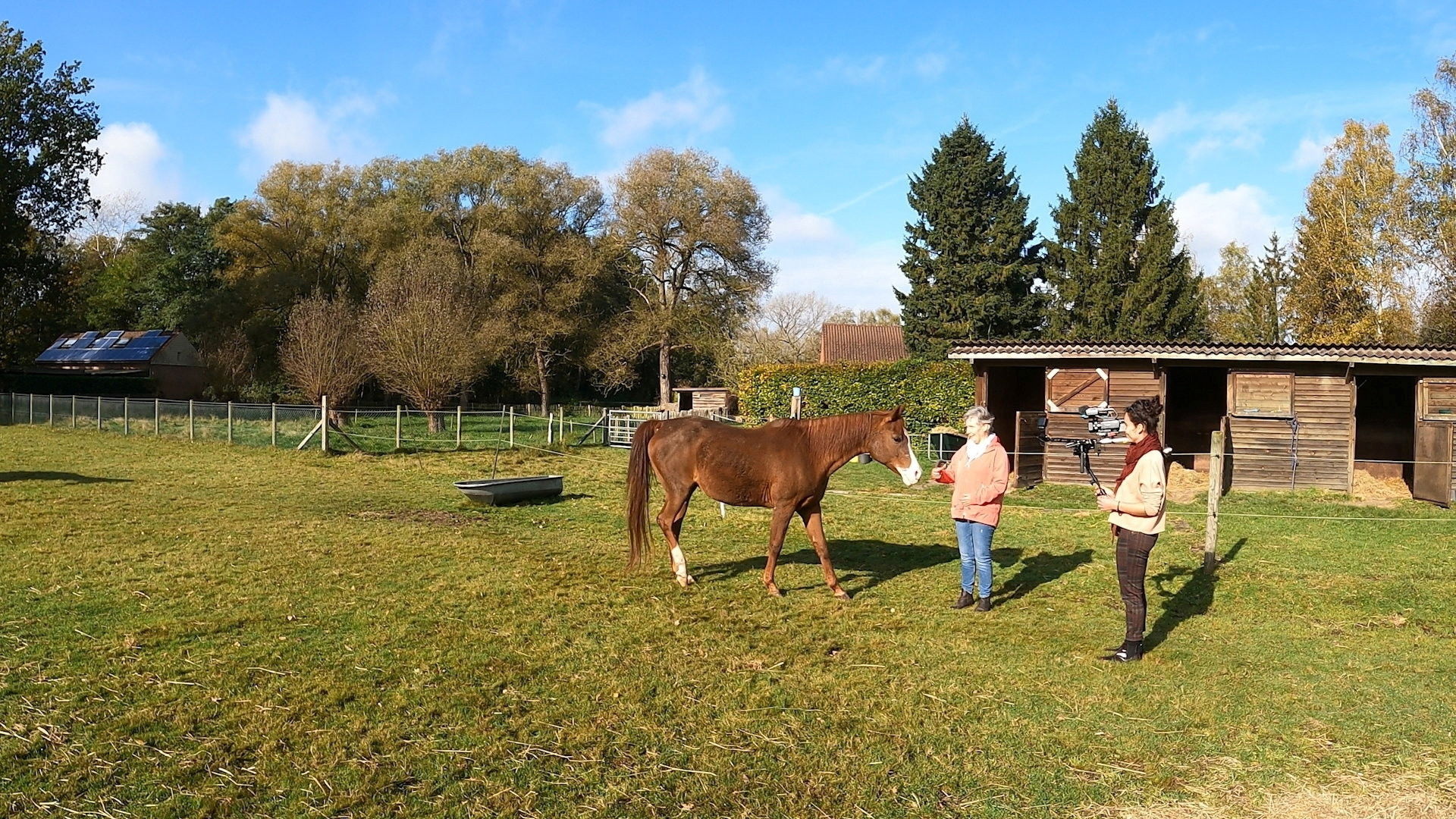 Backdrop for We Are Family