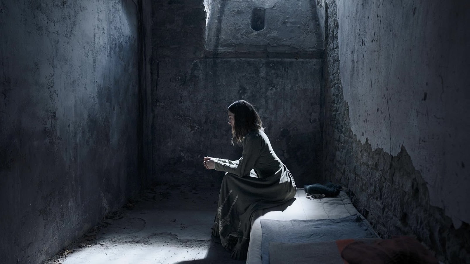 Backdrop for Frieda's Case