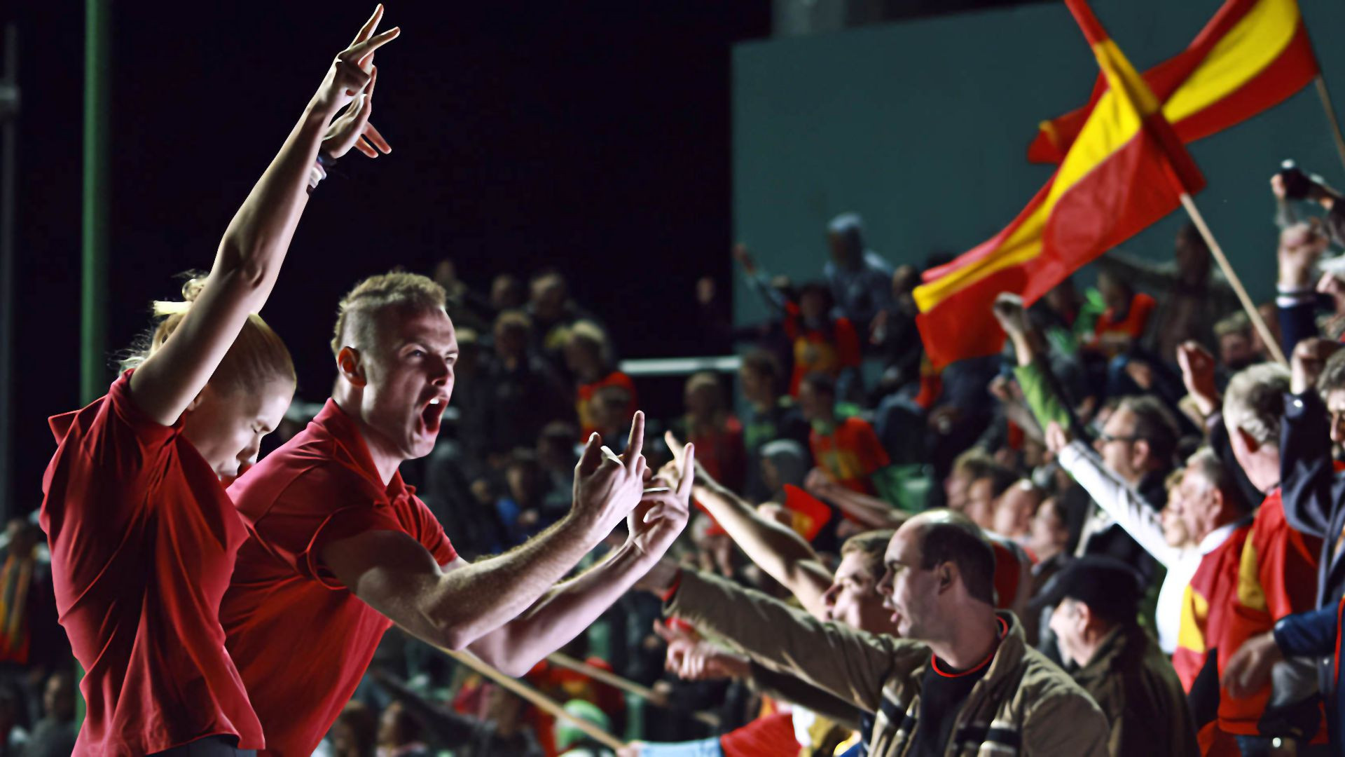 Backdrop for Flying Pigs