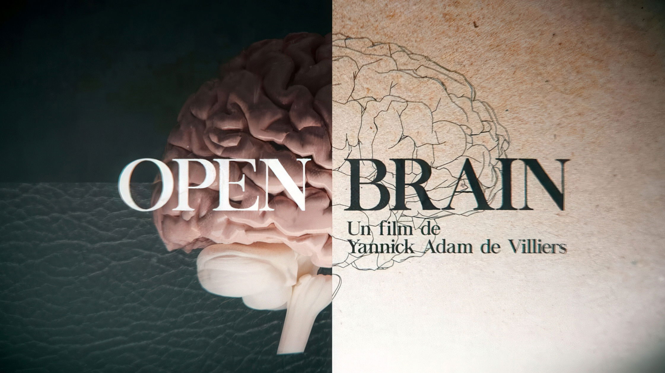 Backdrop for Open Brain, dans le cerveau des athlètes