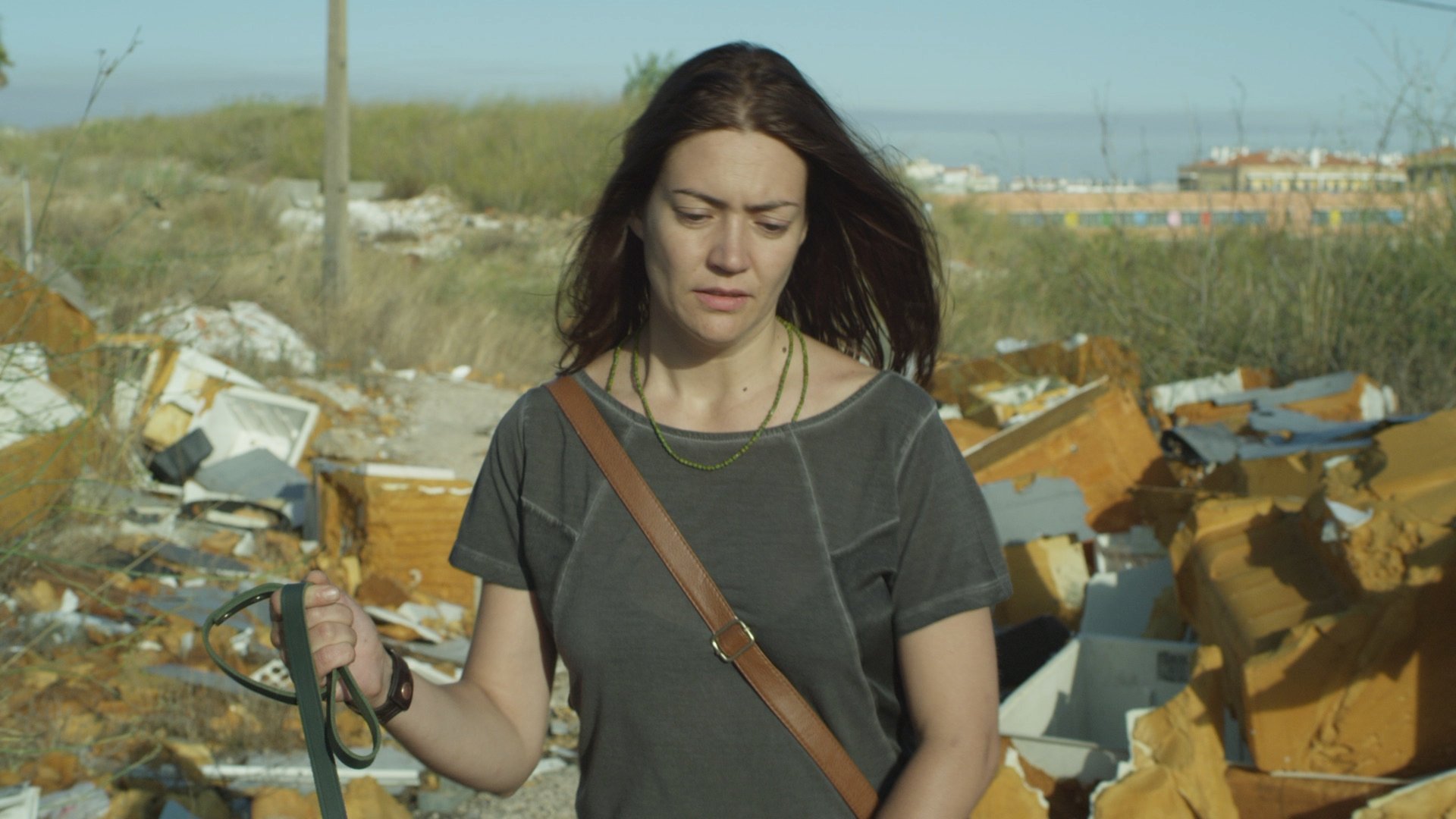 Backdrop for The City and The Sun