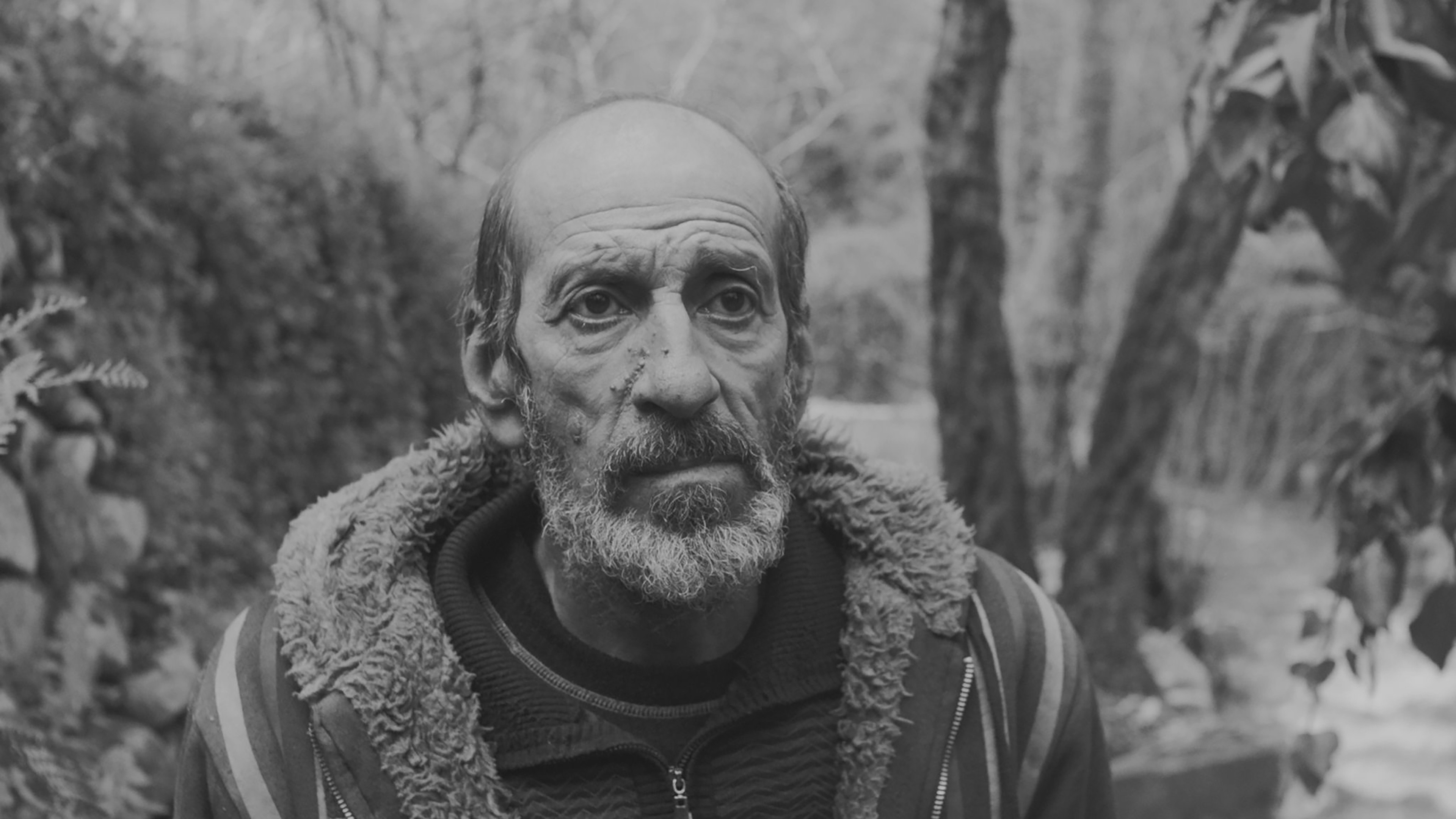 Backdrop for Thiiird