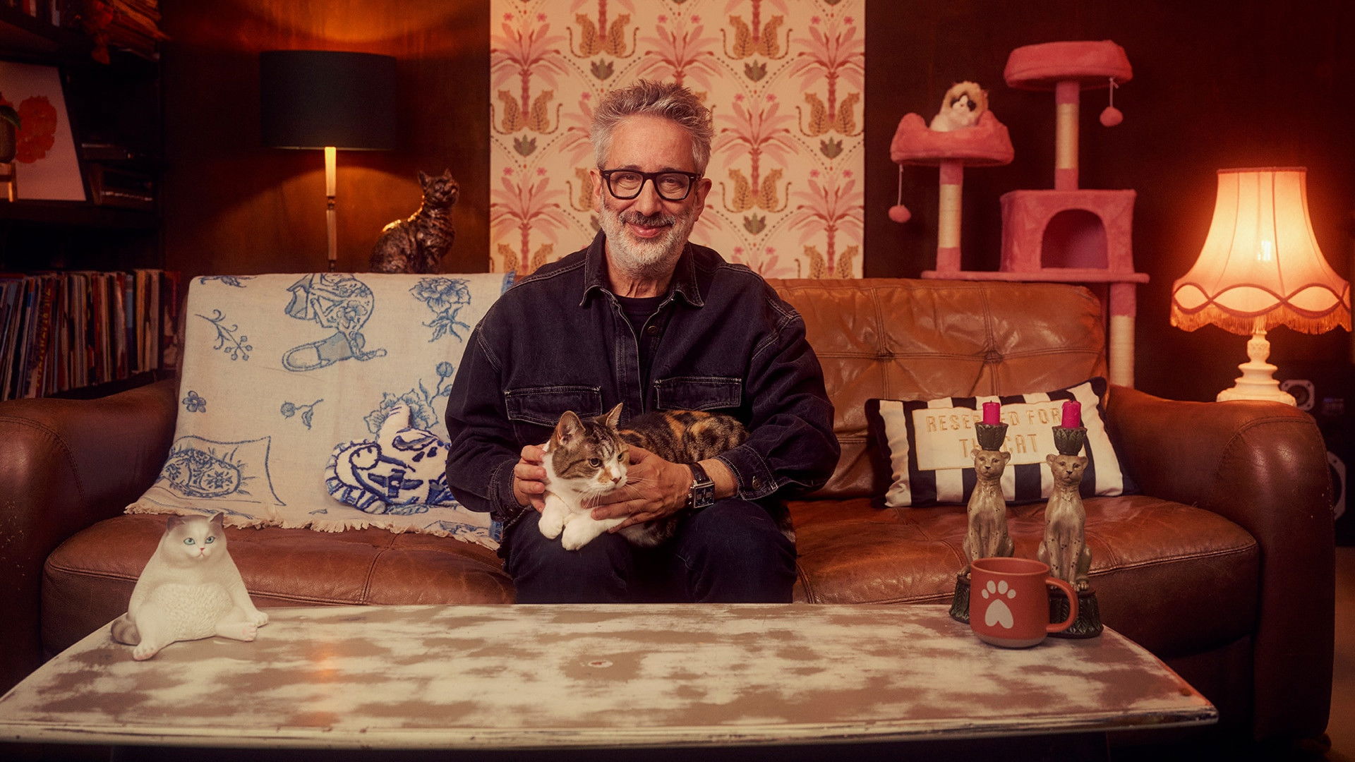 Backdrop for David Baddiel: Cat Man