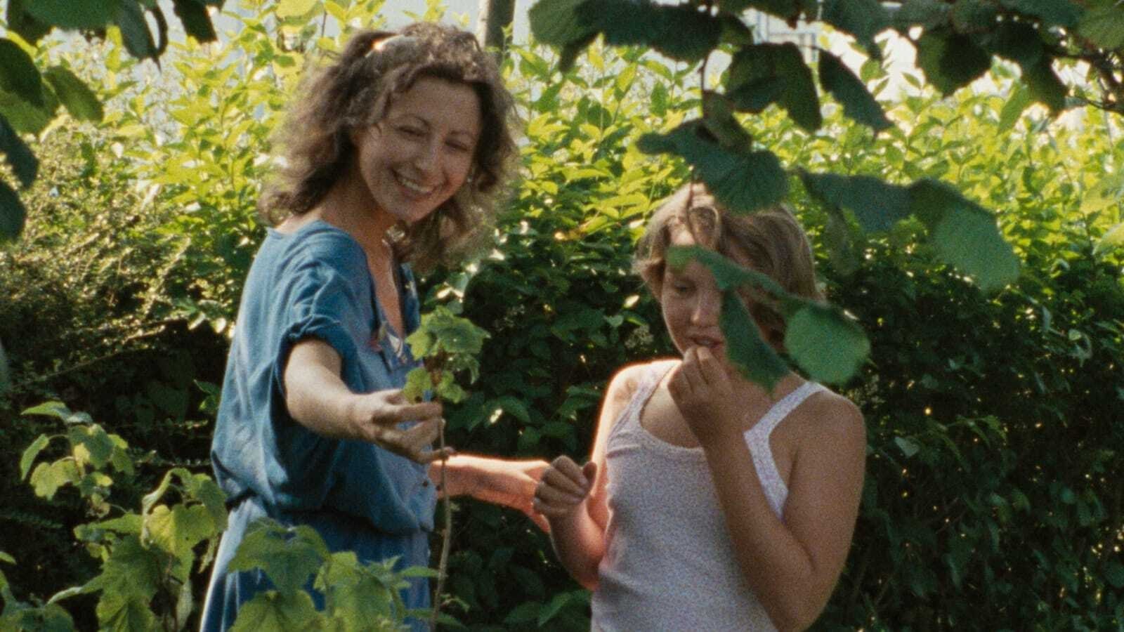 Backdrop for The Green Ray