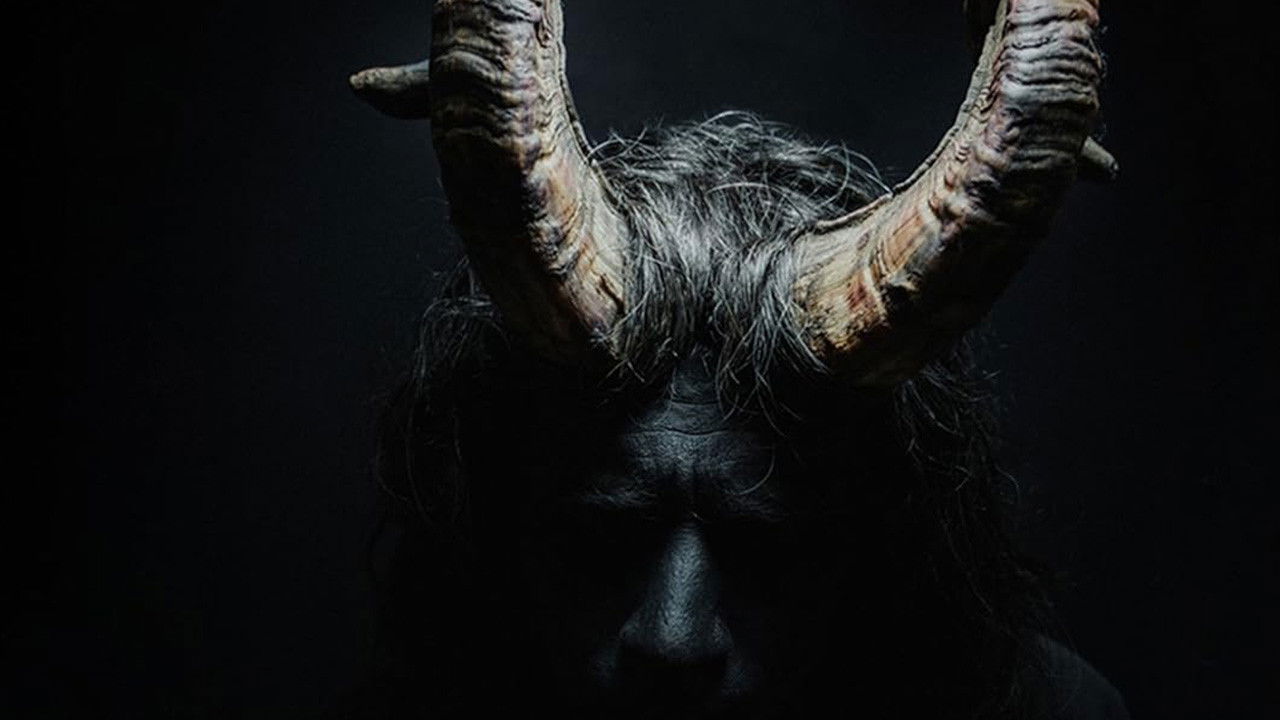 Backdrop for MIRTILLO - numerus IX