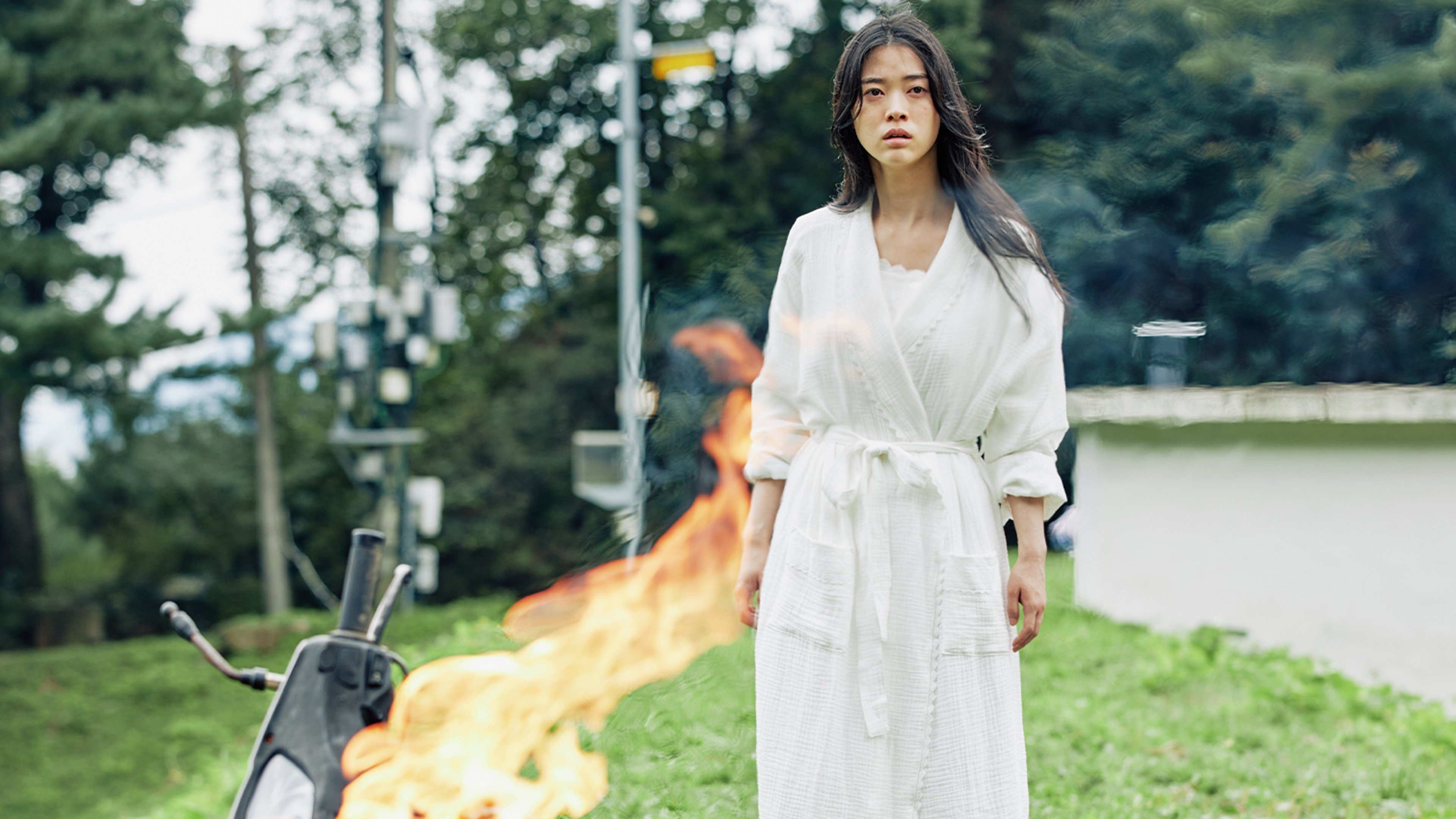 Backdrop for Her Hobby