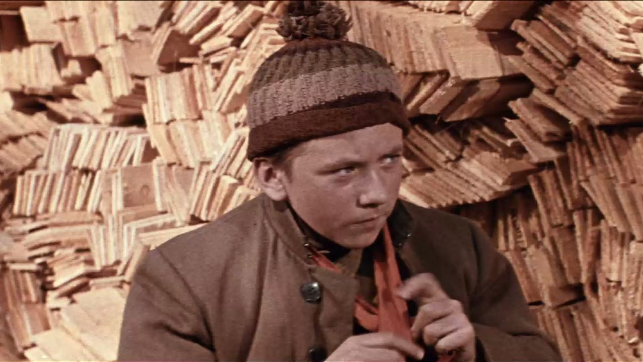 Backdrop for Boys from Liv Island