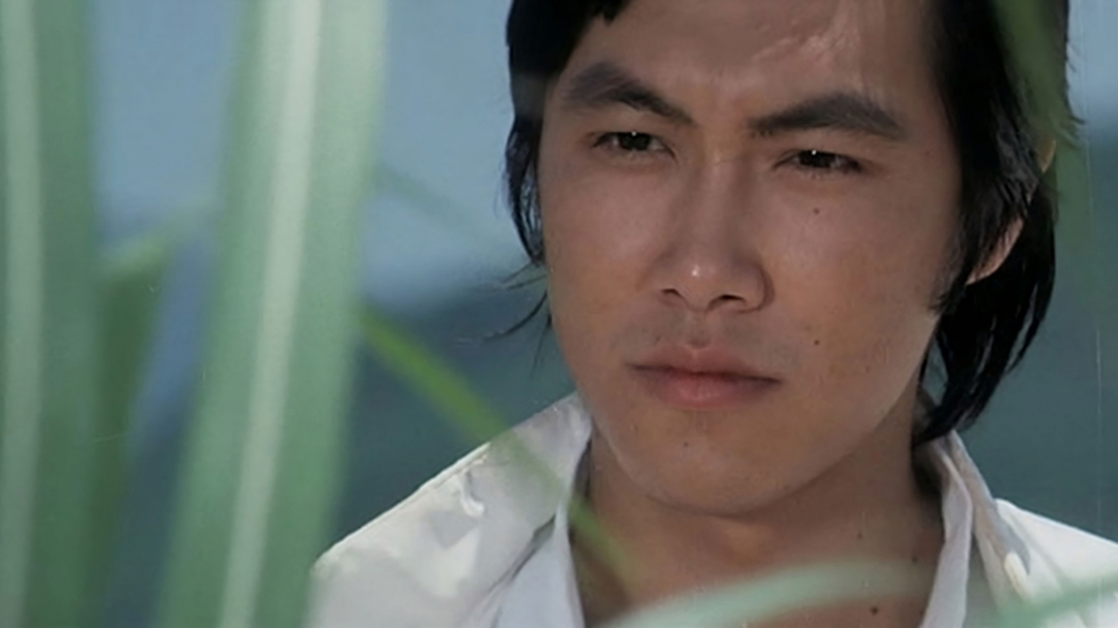 Backdrop for The Young Dragons