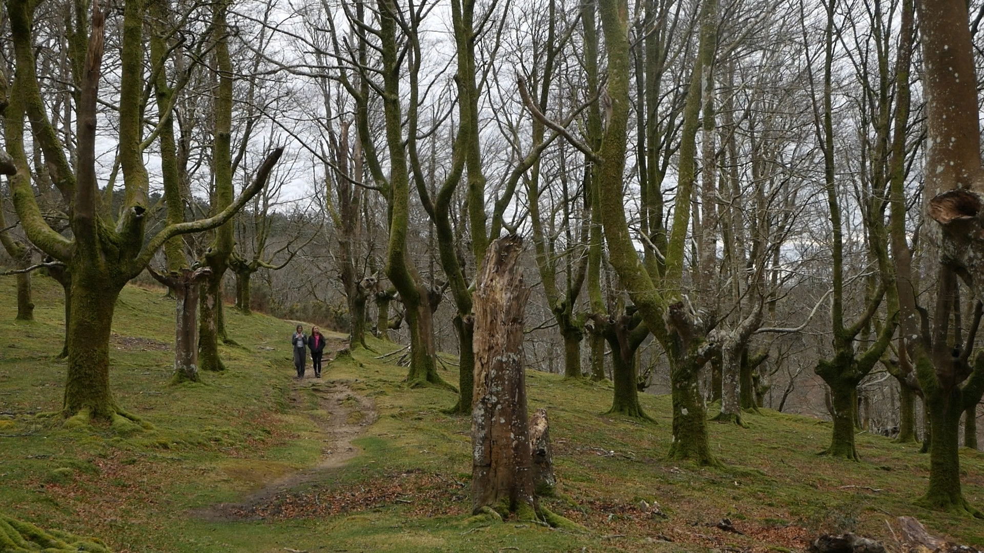 Backdrop for Ezkutuan