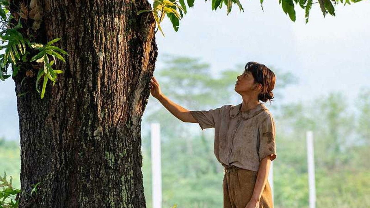 Backdrop for Mango no Ki no Shita de