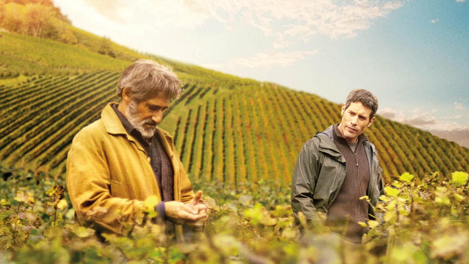 Backdrop for First Growth