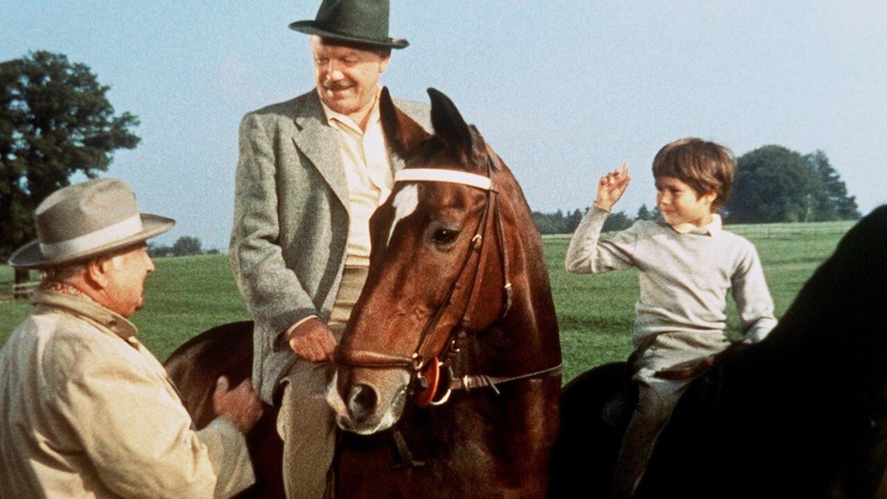 Backdrop for Kleiner Mann - ganz groß