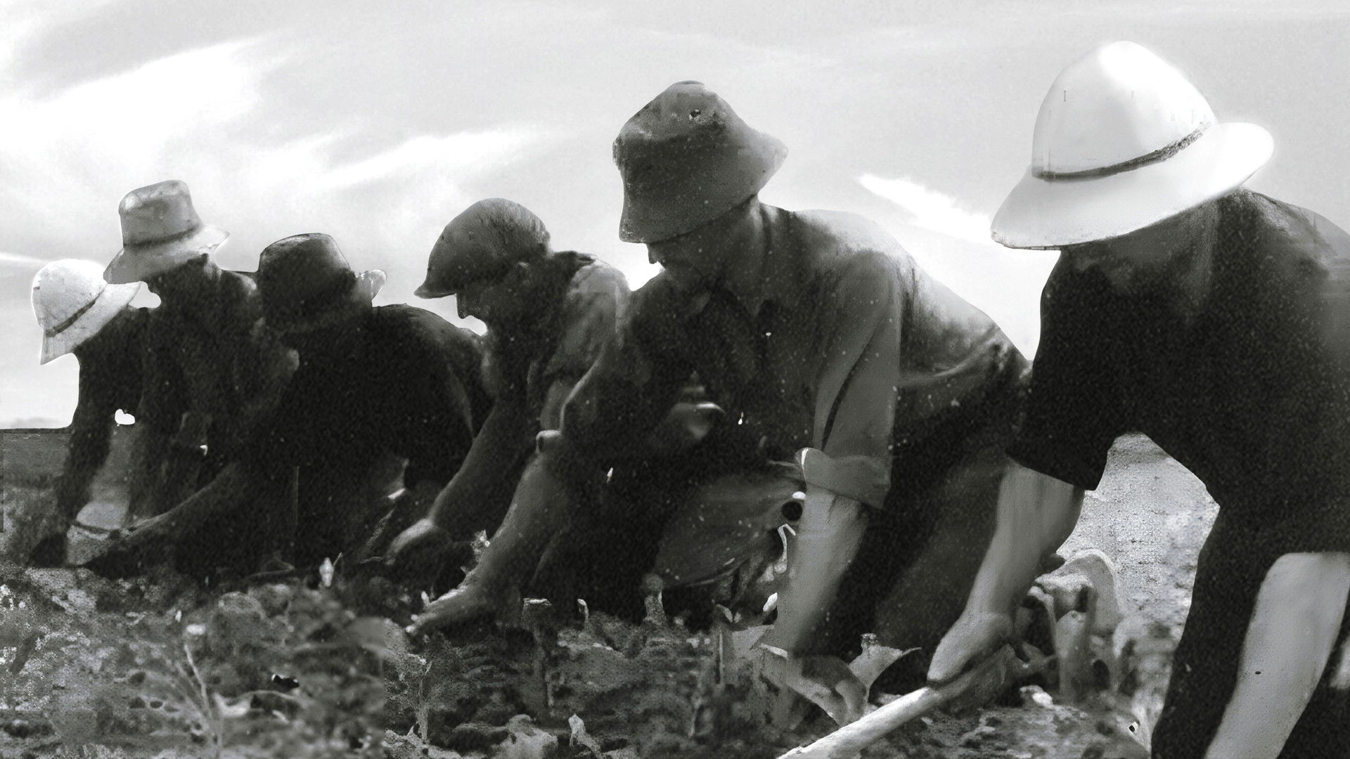 Backdrop for La Ceinture Dorée