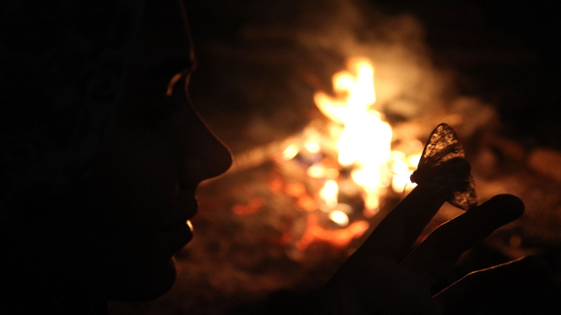 Backdrop for Nobody Comes Nobody Goes...