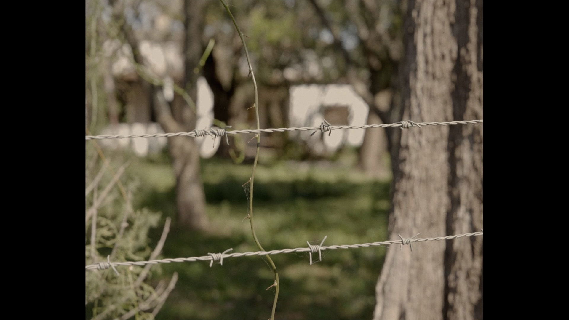 Backdrop for An Offering