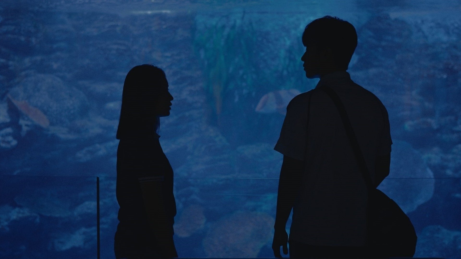 Backdrop for Boy in the Pool