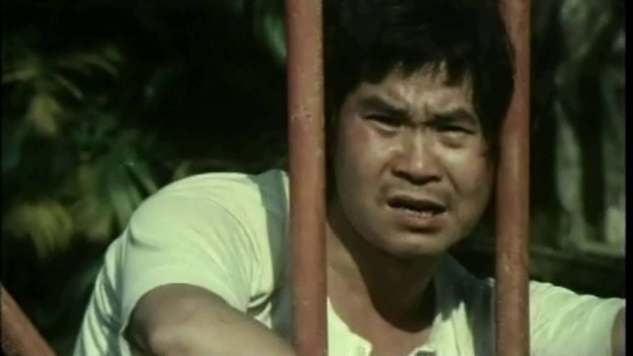 Backdrop for Goose Boxer