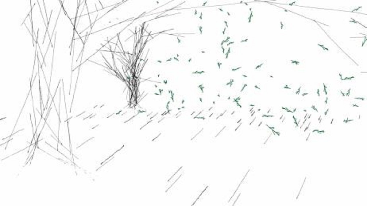 Backdrop for The Train, The Forest