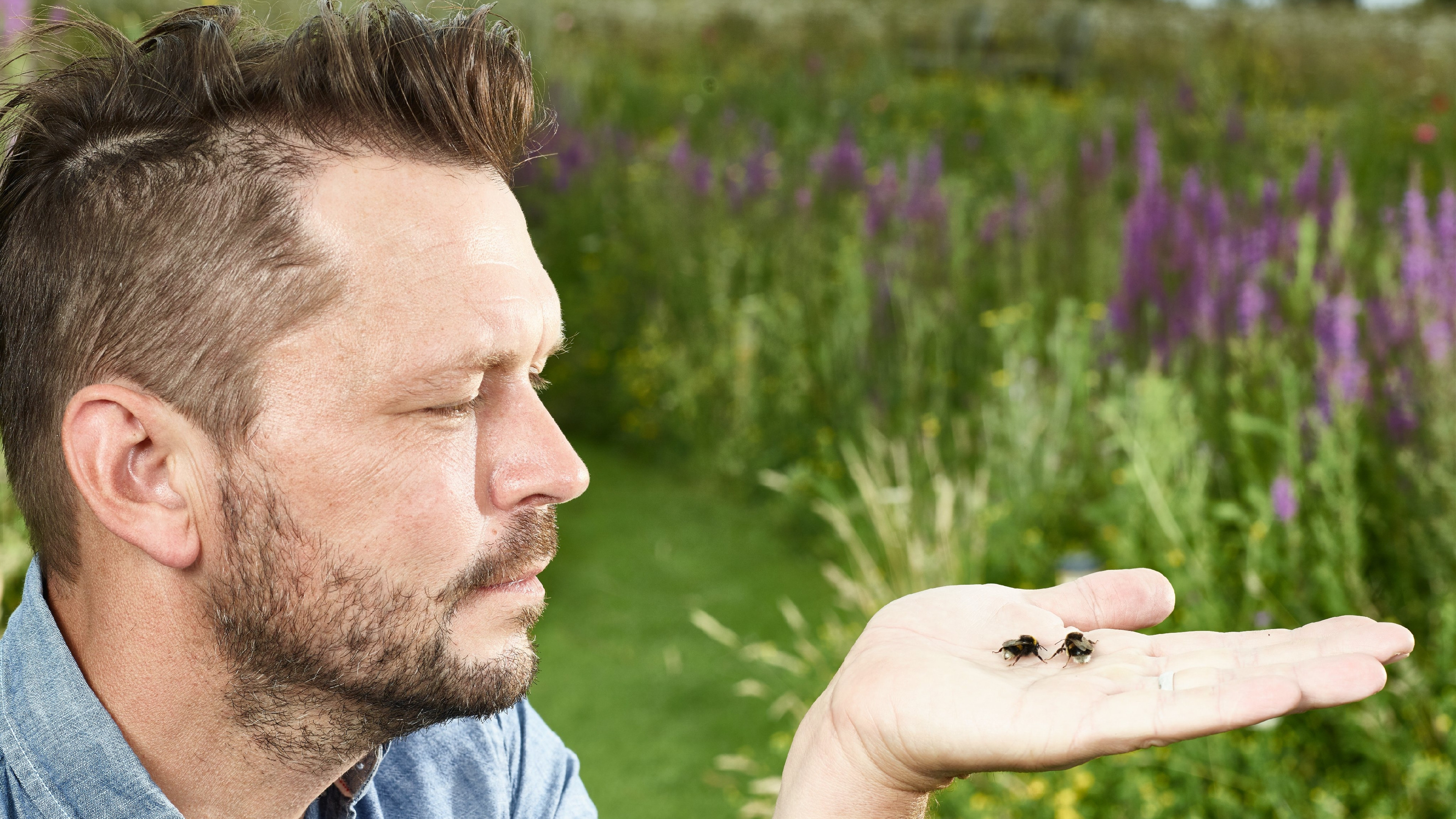 Backdrop for Jimmy's Big Bee Rescue