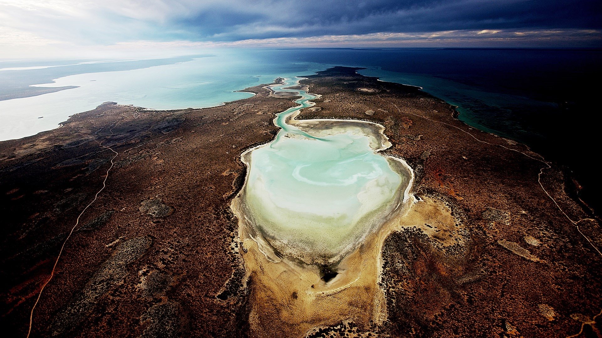 Backdrop for Planet Ocean