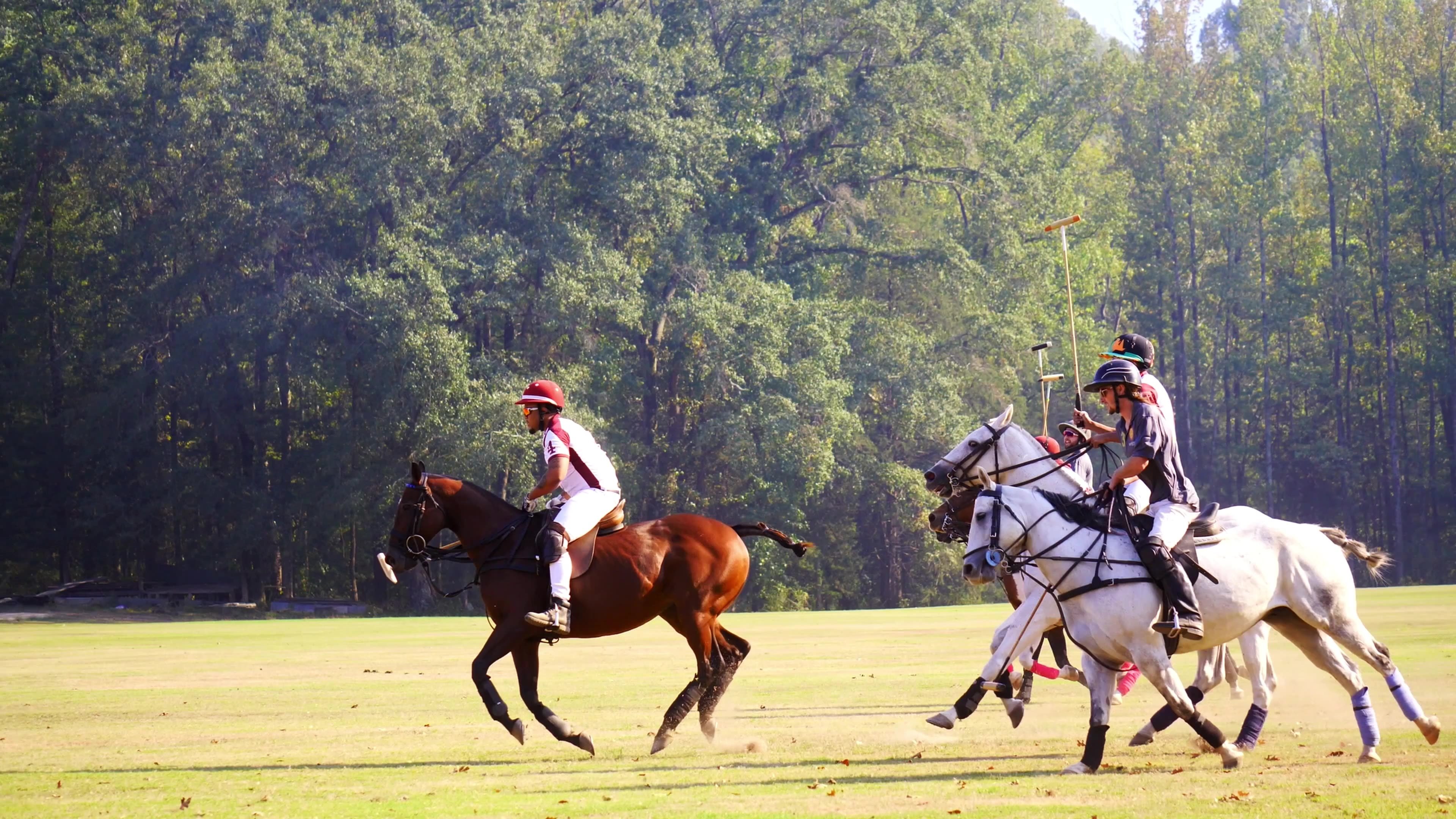 Backdrop for From Rodeo to Polo: The 1st HBCU Polo Team
