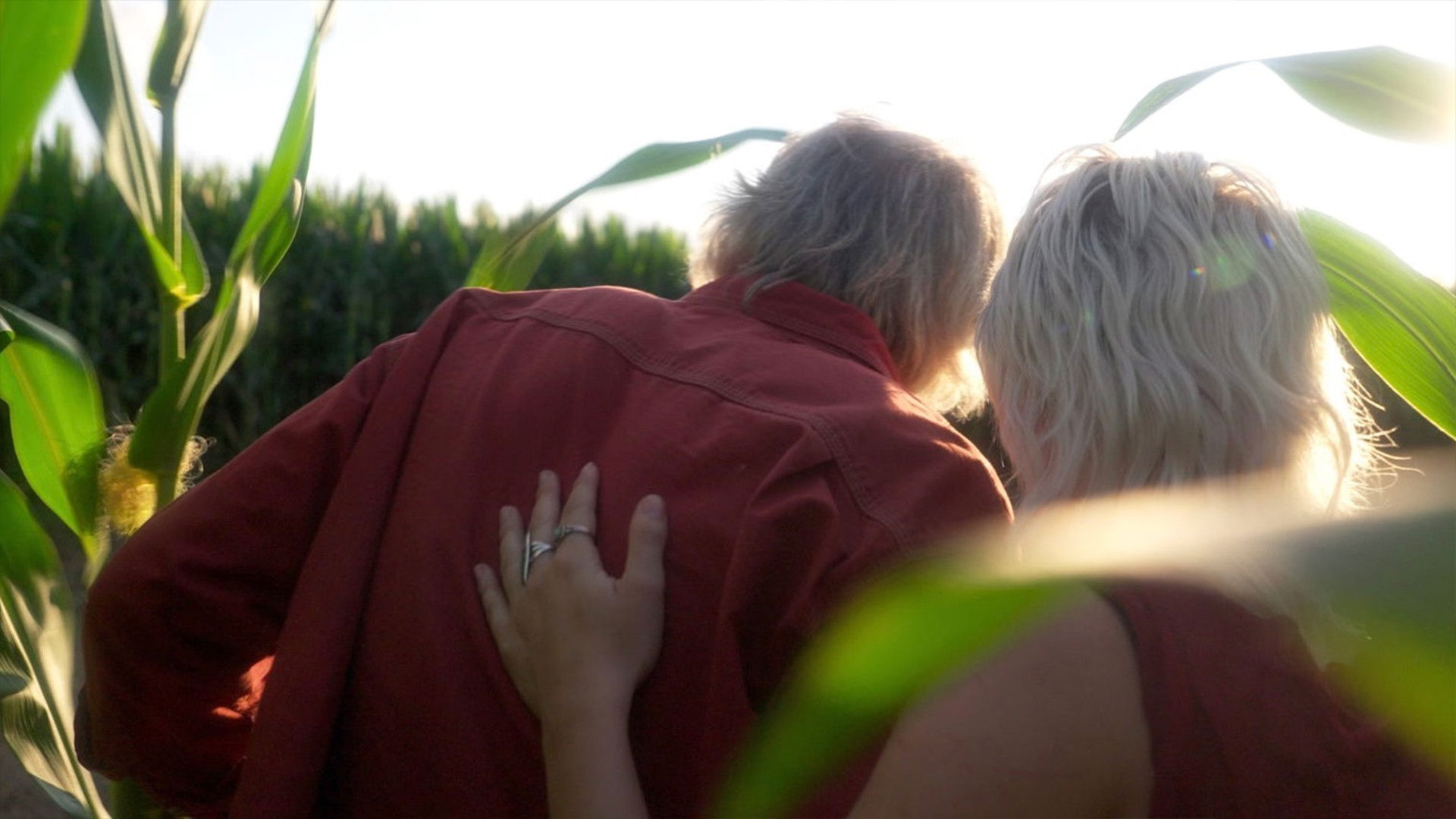 Backdrop for Citrinitas