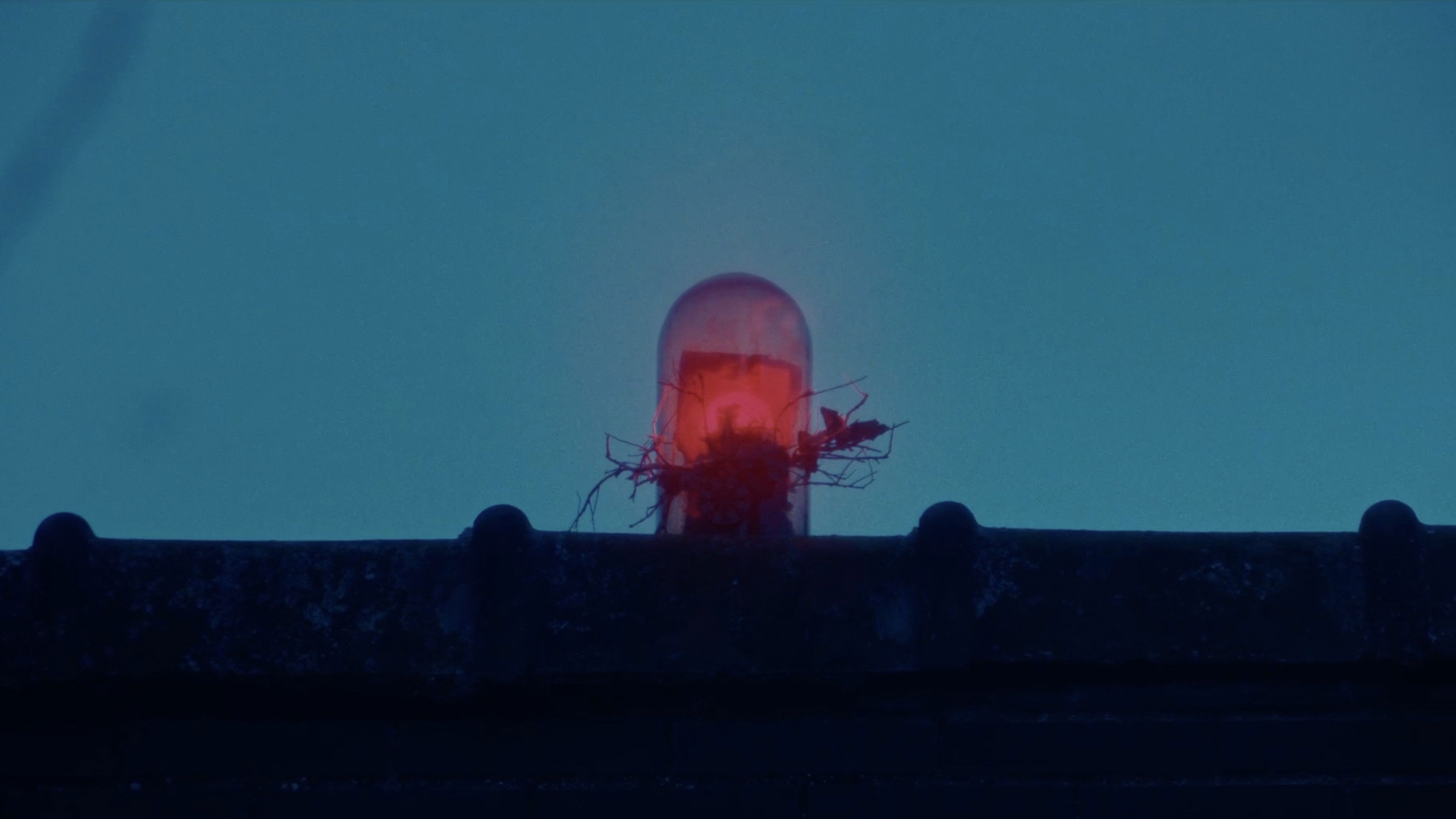 Backdrop for La casa de los monstruos