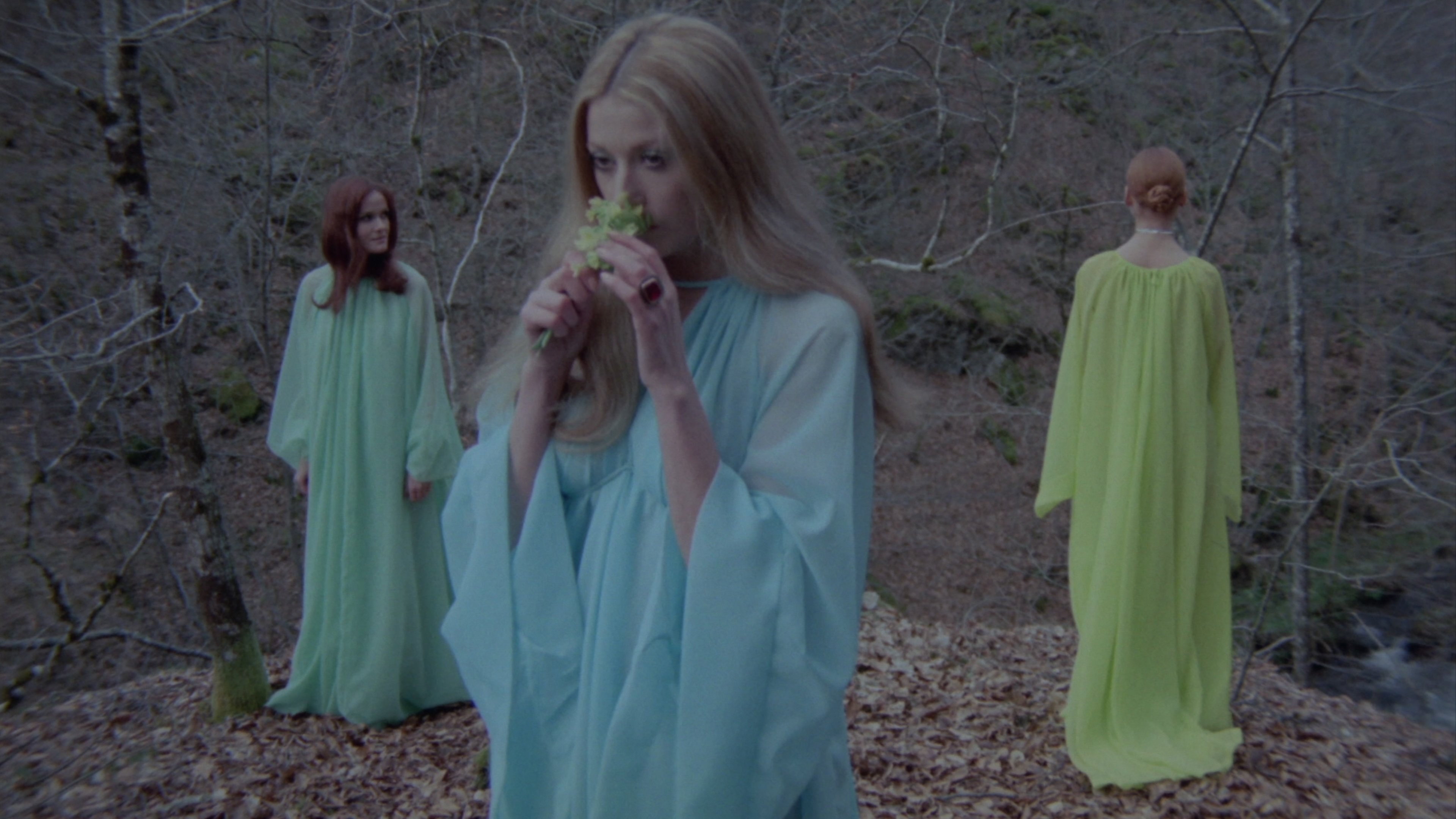 Backdrop for Girl Slaves of Morgana Le Fay