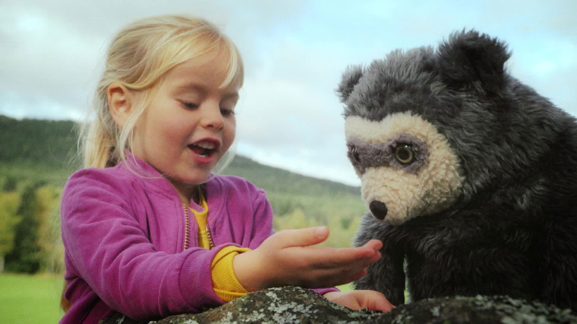 Backdrop for Bo Bear on the Farm